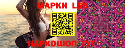 ешки Моздок