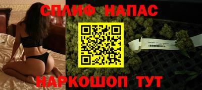 ешки Моздок
