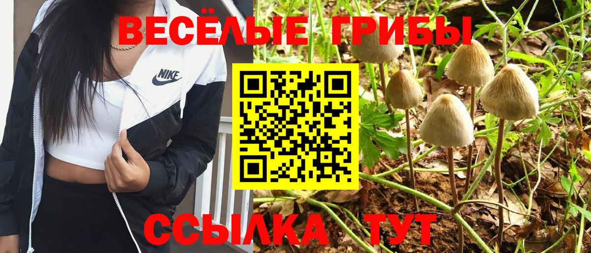 Псилоцибиновые грибы Magic Shrooms  Вход с VPN  Верхний Уфалей 